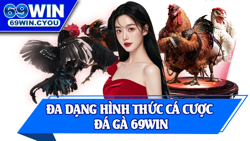 Đa Dạng Hình Thức Cá Cược Đá Gà 69win