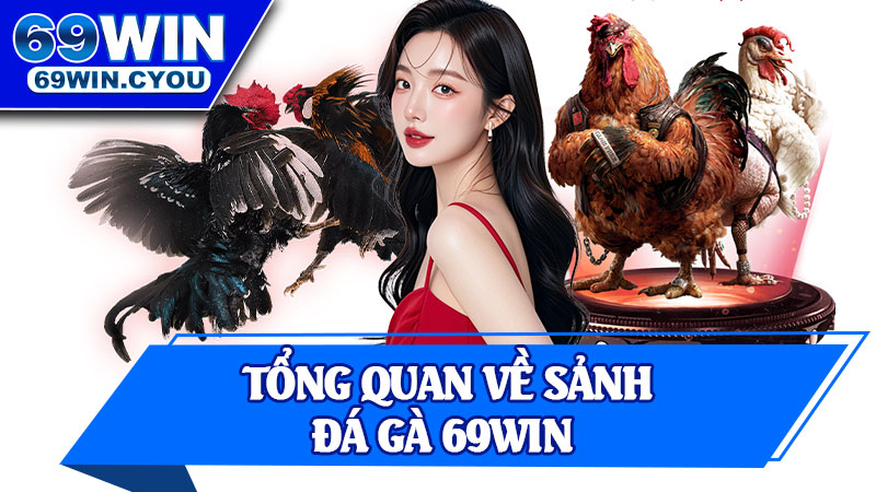 Tổng Quan Về Sảnh Đá Gà 69win 
