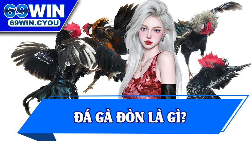 Đá Gà Đòn Là Gì?