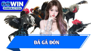 Đá Gà Đòn
