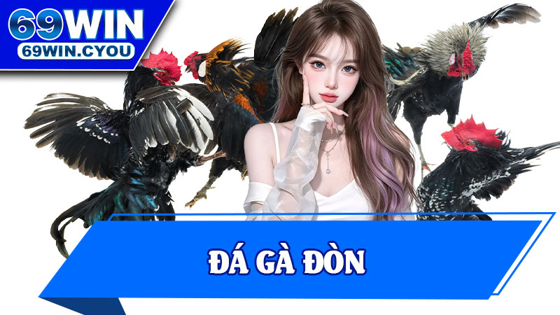 Đá Gà Đòn